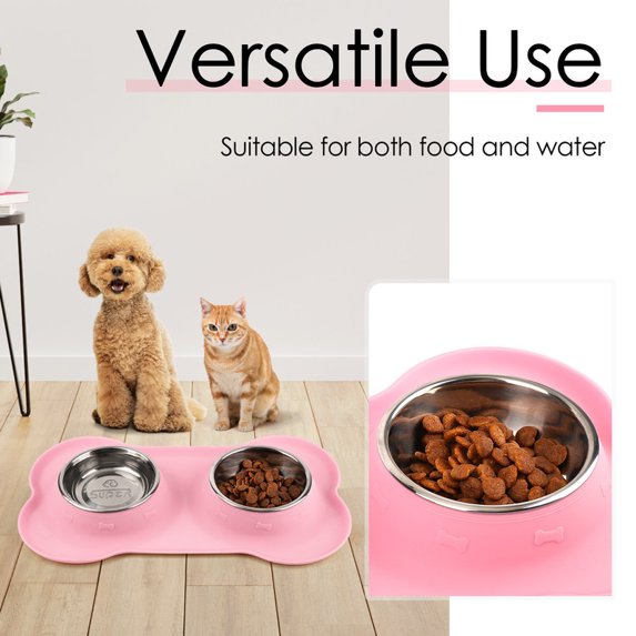 Stainless Steel Non-Spill Dual Pet Feeder Bowls with Silicone Mat