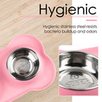 Stainless Steel Non-Spill Dual Pet Feeder Bowls with Silicone Mat