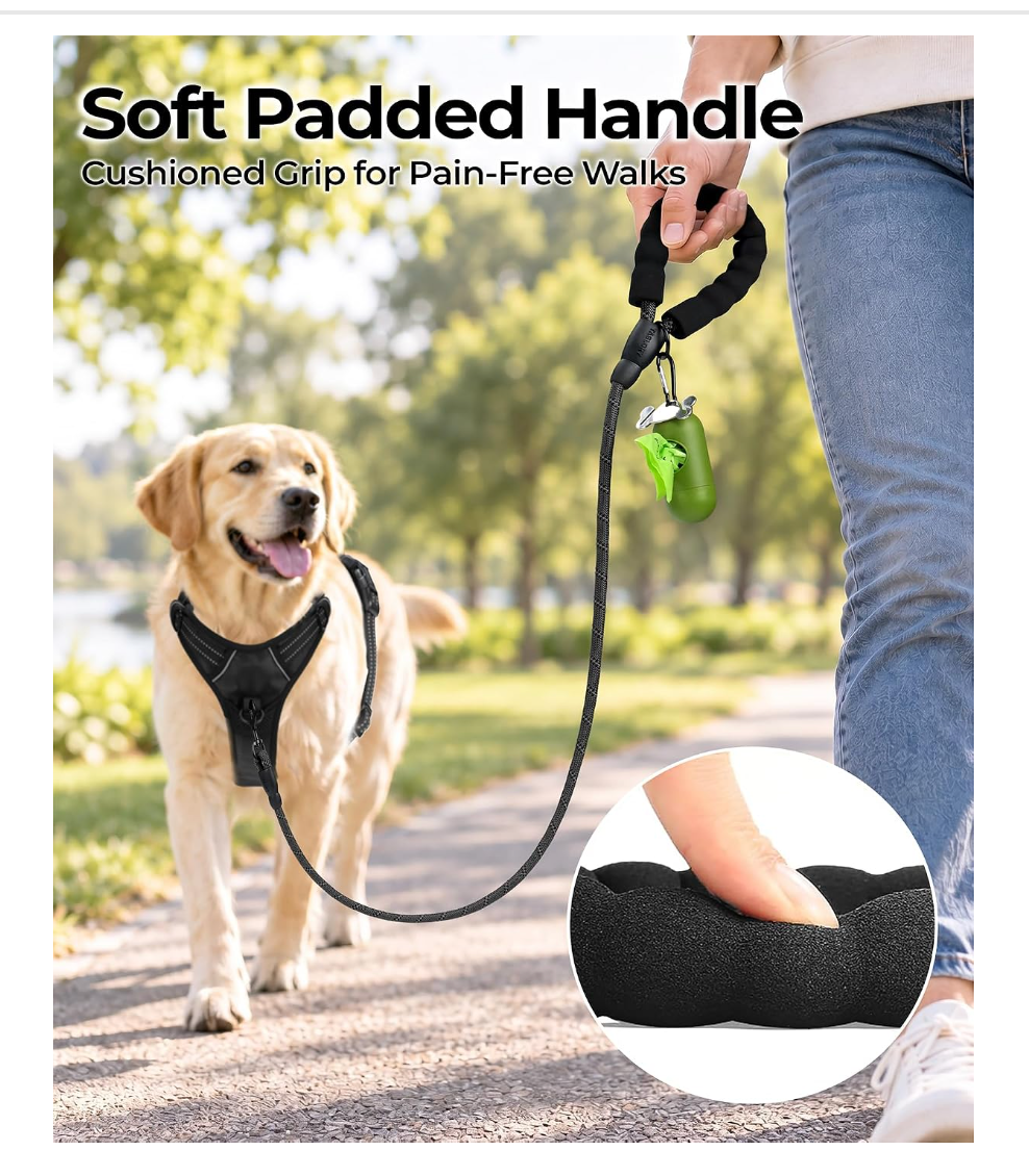 Heavy-Duty Dual-Handle Reflective Nylon Dog Leash (6-Foot)